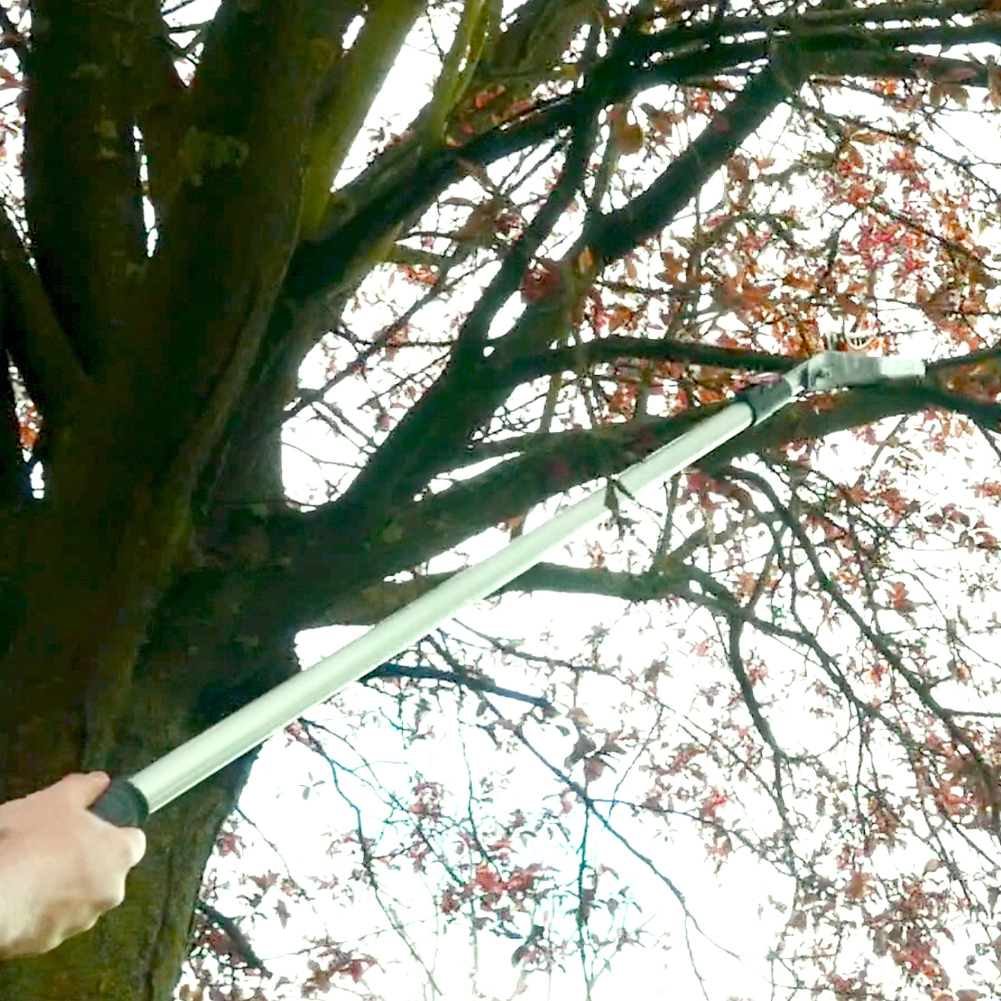 Sécateur Télescopique FISHTEC 1.37 À 2.2 m Avec Scie 30 cm 52 Dents Lame Acier Enclume De Préhension Manche Aluminium Portée 4 m Élagage Jardin - 9