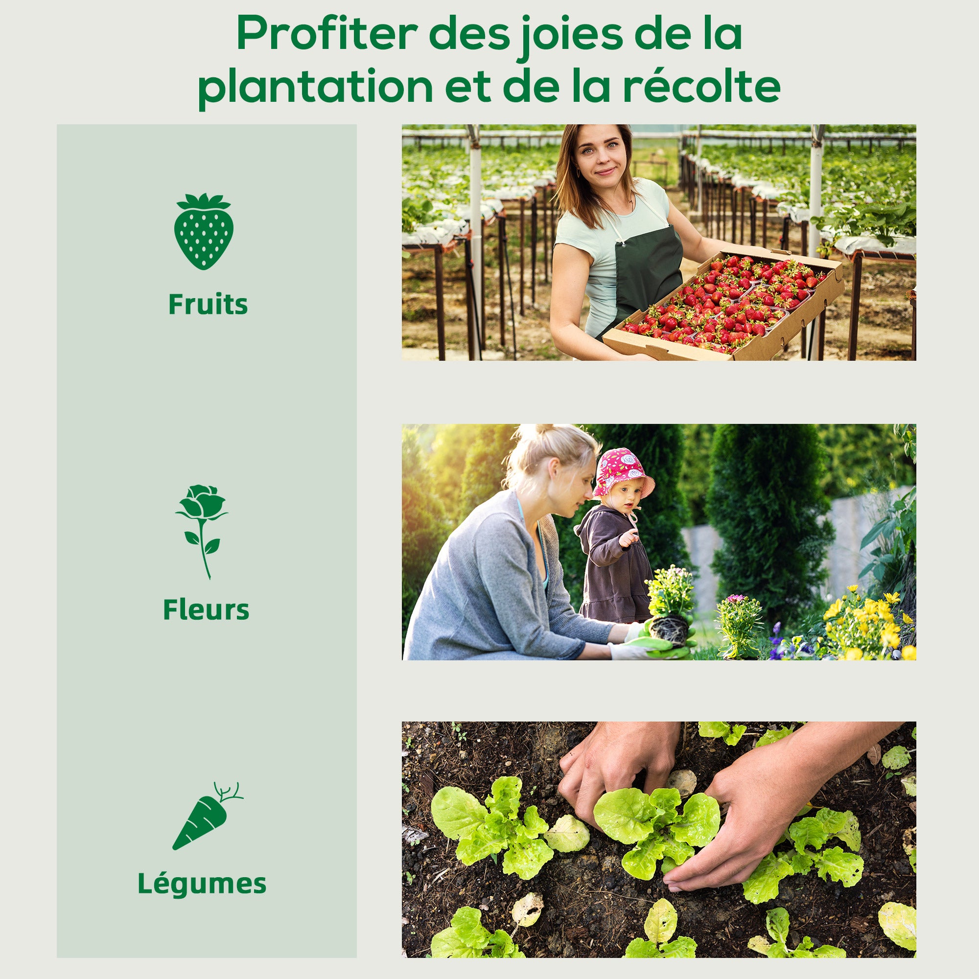 Serre de jardin protégée contre les UV, avec deux écrans et barres de renfort, fabriquée en acier et en polyéthylène vert. - 9