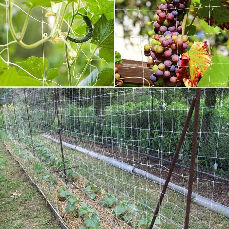 Filet pour plantes grimpantes, filet de treillis en polyester à grandes mailles, adapté aux tomates et aux raisins (4 x 4 pi) - 5