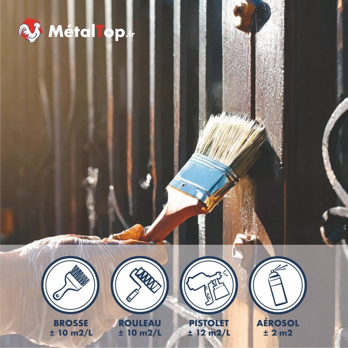 Antirouille Incolore - Metaltop - RAL Incolore - Pot 5L - 5