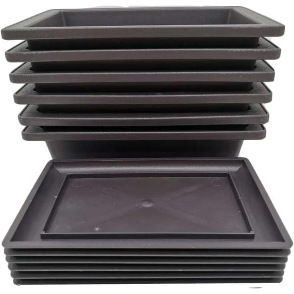 Set 6 Vasi Rettangolari Per Bonsai Con Sottovasi E Filo Di Alluminio Da 1,5/2/3 Mm - Vaso Plastica 23x17x8 Cm Per Piante Grasse E Fiori, Interno/Esterno