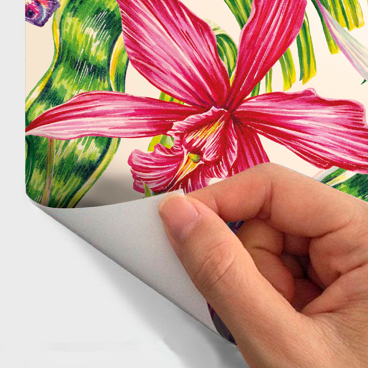 Adesivo carta da parati tropicale Piriapolis - Sticker adesivo - adesivi murali - 30x30cm - 4