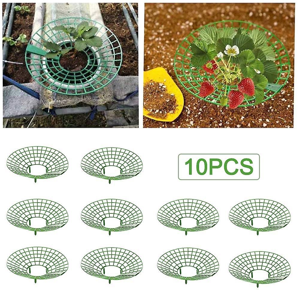 Cage de soutien pour plants de fraises, 10 pièces, grille d'escalade, support pour balcon, support pour fruits - 3