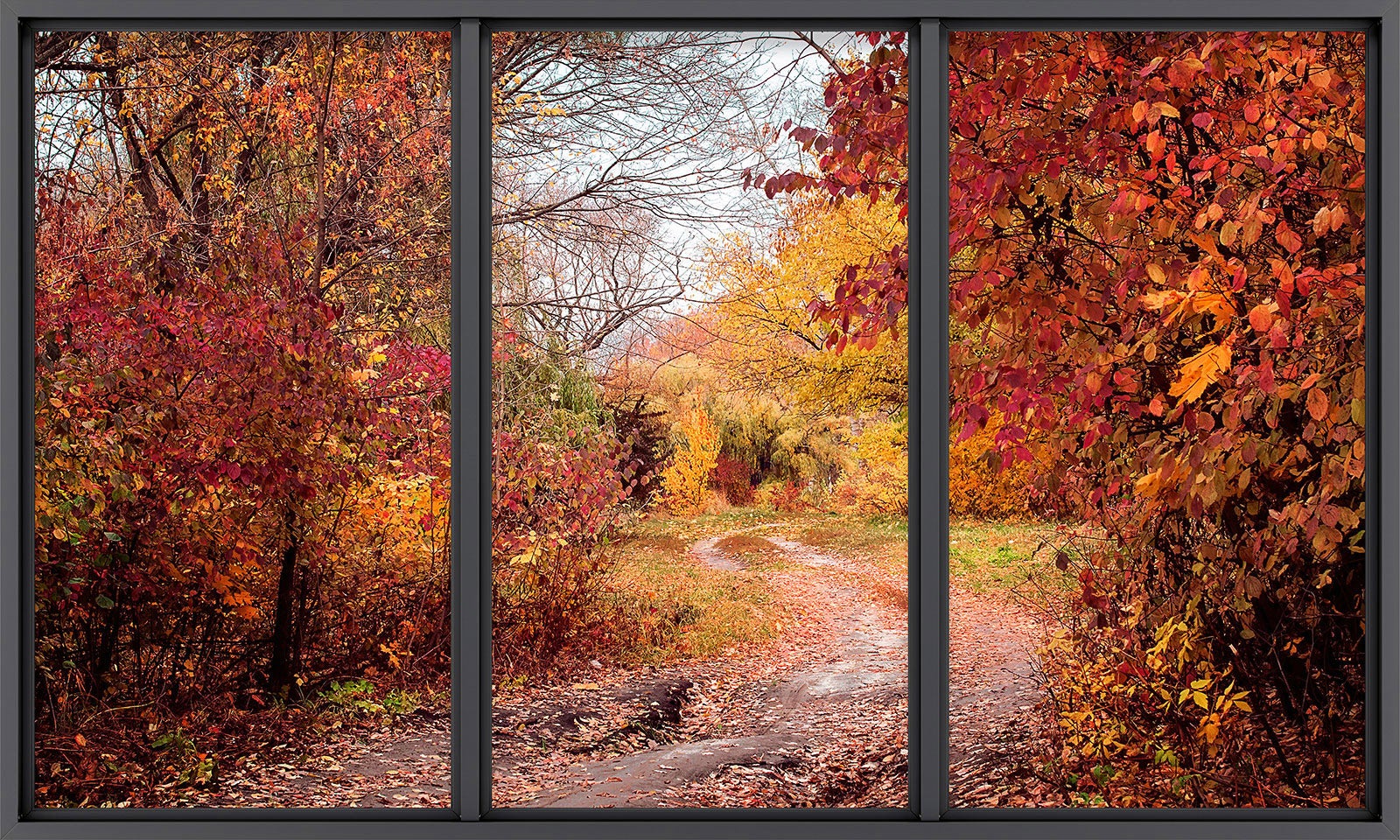 Papier peint panoramique Trompe l'oeil baie vitrée - Chemin en forêt - Largeur 260 cm x Hauteur 156 cm - 2