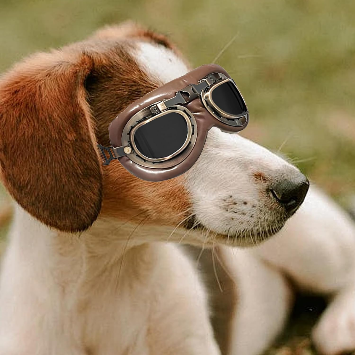 1 par de óculos de sol para cães - óculos de proteção vintage com tira ajustável - adequados para cães de tamanho médio e grande. - 6
