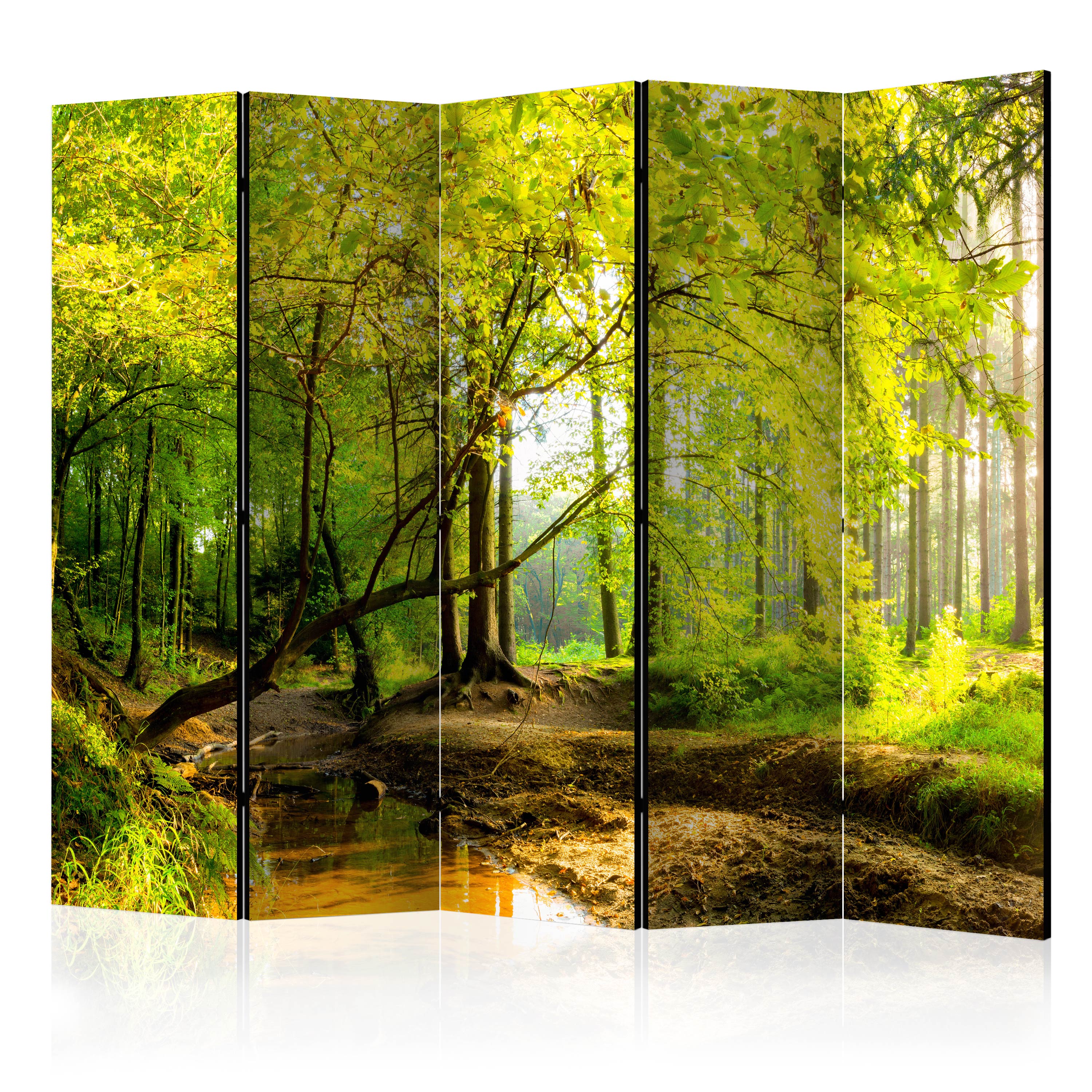 Paravento - Forest Rays II [Room Dividers] - 225x172