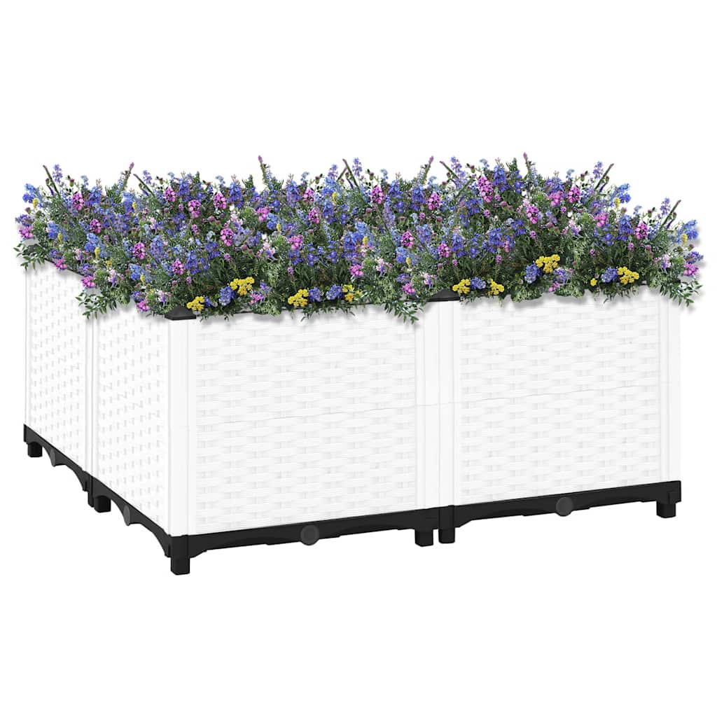 Rectangulaire