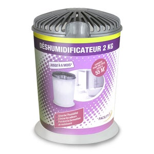 Rigidstone Absorbeur D'humidité 10Pcs, Sac De Déshumidification Suspendu, deshumidificateur d air anti moisissure, Convient pour les Placards, les Chambrespour La Cuisine/Salle de Bain/Armoire/Voiture Rigidstone Absorbeur D'humidité 10Pcs, Sac De Déshumidification Suspendu, deshumidificateur d air anti moisissure, Convient pour les Placards, les Chambrespour La Cuisine/Salle de Bain/Armoire/Voiture