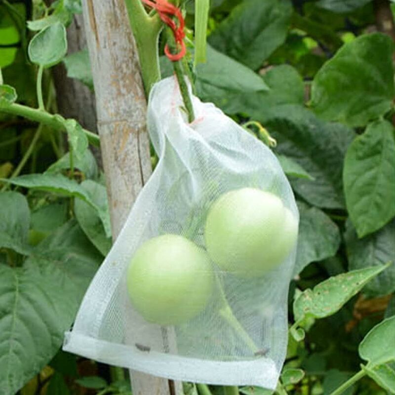 Paquete de 100 bolsas protectoras para frutas Malla antiinsectos