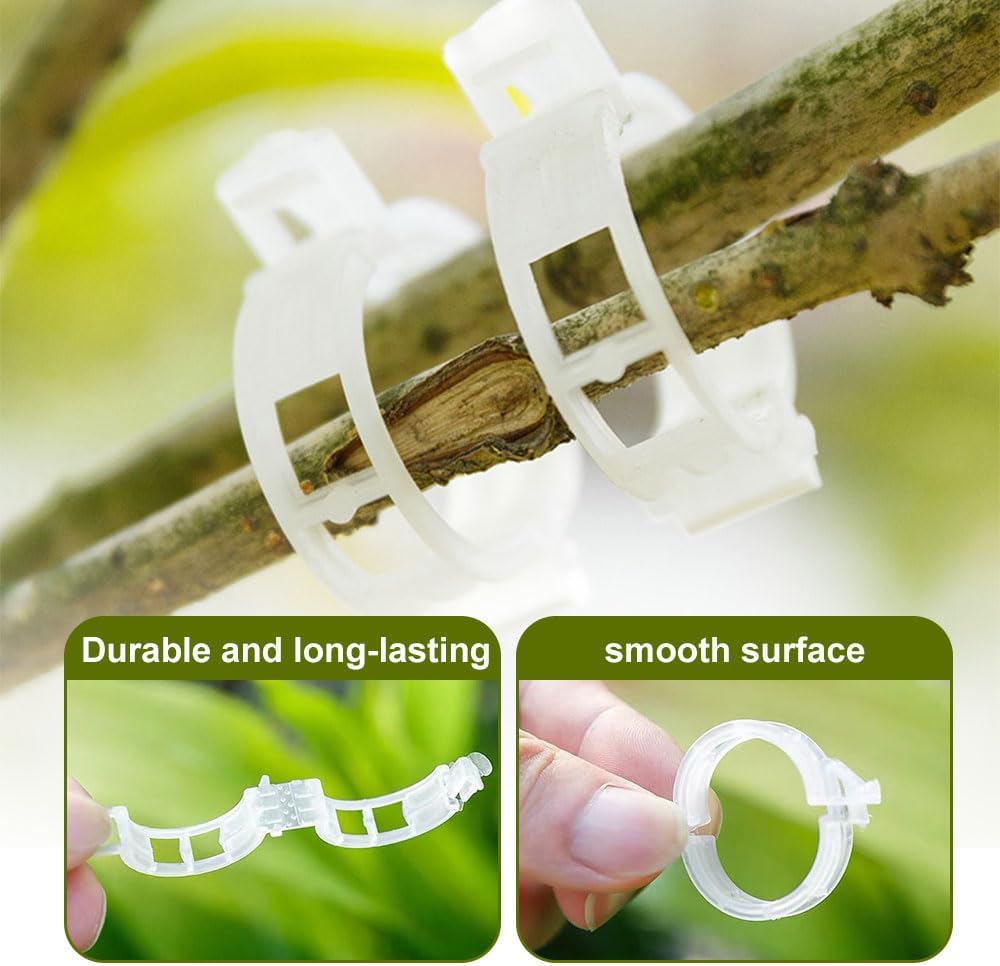 Plant Support Clips de Jardin Tomate Clips Support, Jardin Clips pour Les légumes Tomate Vigne tiges (100, Transparent)Vert - 2