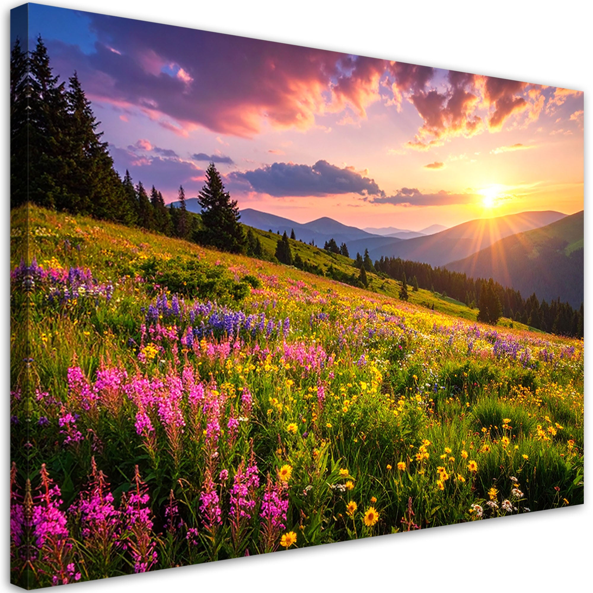 Obraz do salonu sypialni biura, Łąka kwiaty pejzaż górski natura 60x40
