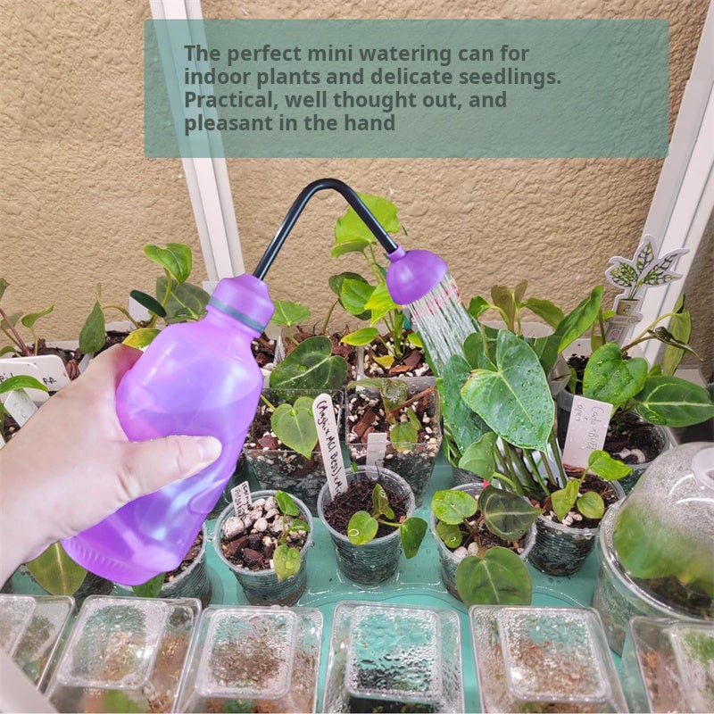 Arrosoir, douchette et vaporisateur pour plantes d'intérieur, avec buse 2 en 1, arrosoir de 0,45 L pour la culture et l'arrosage des plantes - 4