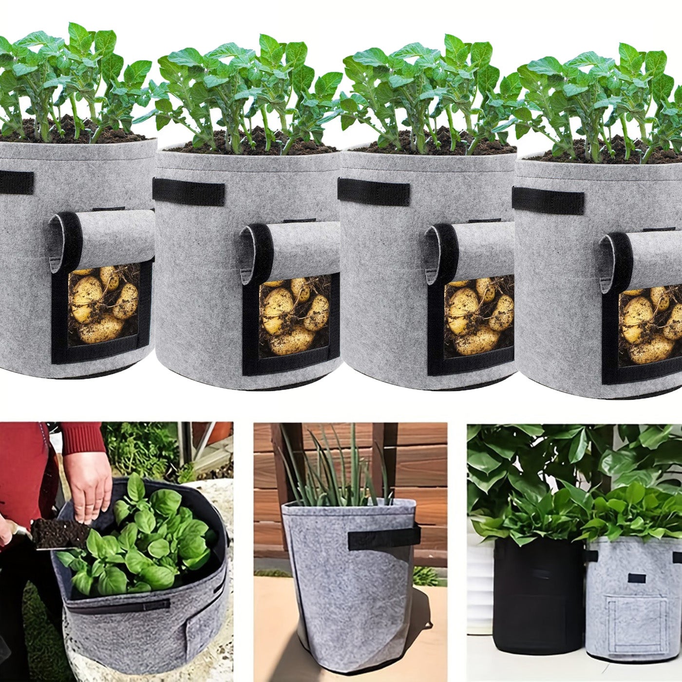 12 Sacchetti Coltivazione In Tessuto Non Tessuto 10 Galloni - Vasi Per Piante Con Manici, Traspiranti E Riutilizzabili Per Orto E Giardino, Nero - 6