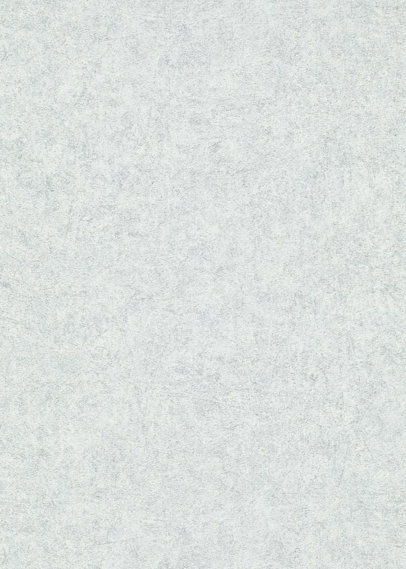 Tapeta zwykły szarym - 53 cm x 10.05 m - ERISMANN