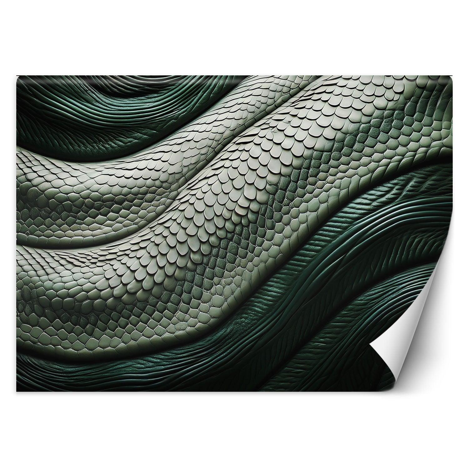 Fototapeta, Skóra węża zielona 150x105