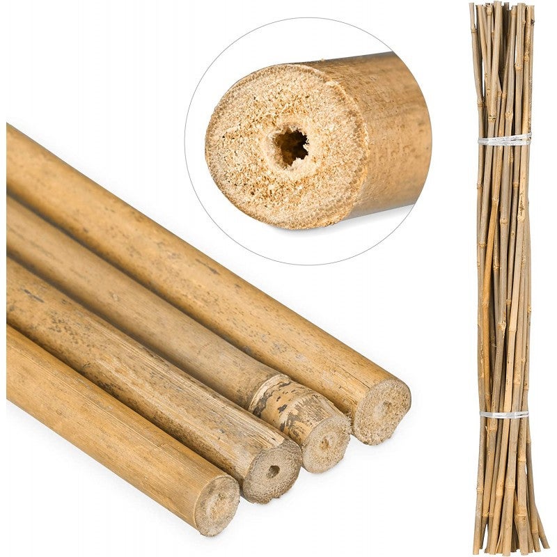 Lot de 500 Tuteur en Bambou 150 cm, 8-10 mm, Tubes en Bambou pour Plantes et Arbres, Baguettes de bambou, Canne de bambou - 5