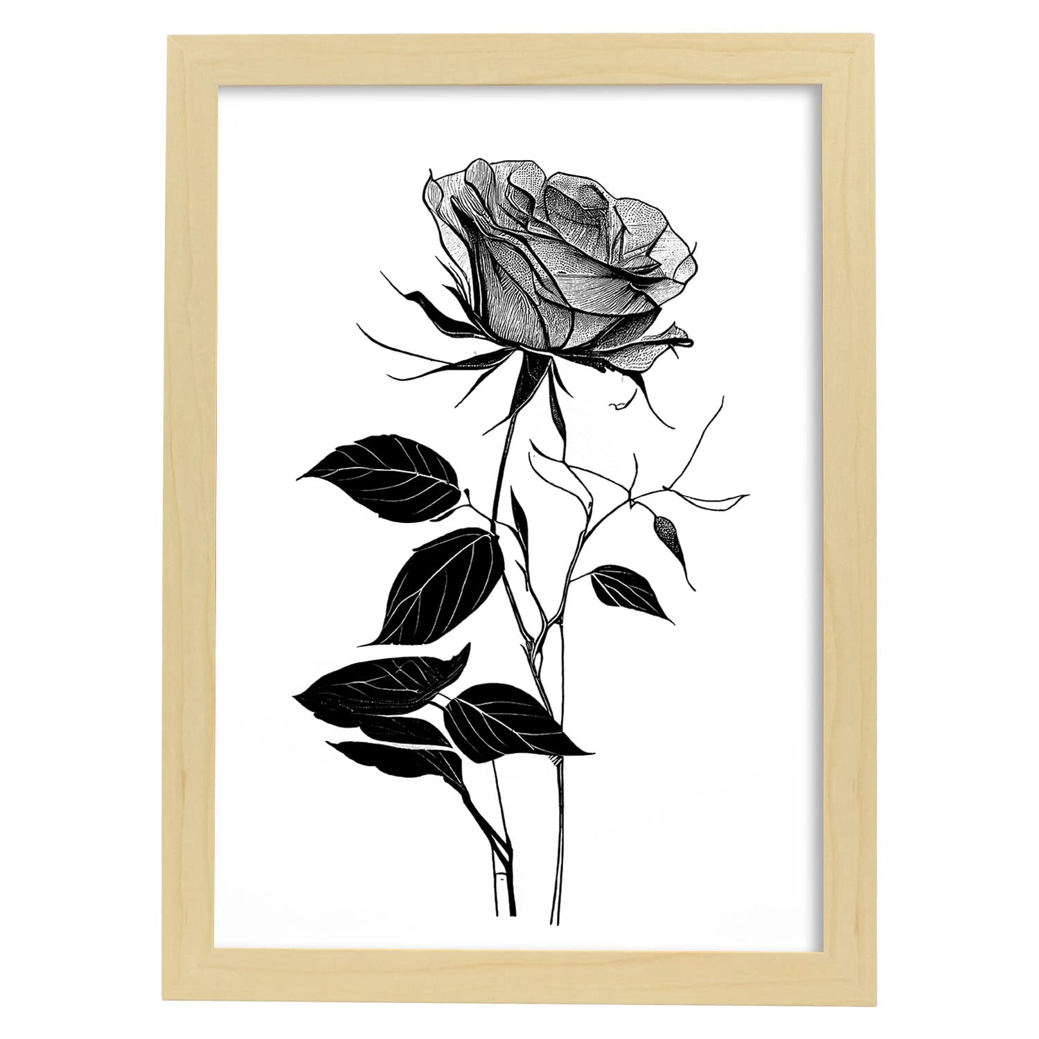 Nacnic poster de rosa estilo nórdico ilustraciones de botánica con flores y plantas en blanco y negro diseño y 1 a3 con marco de madera clara