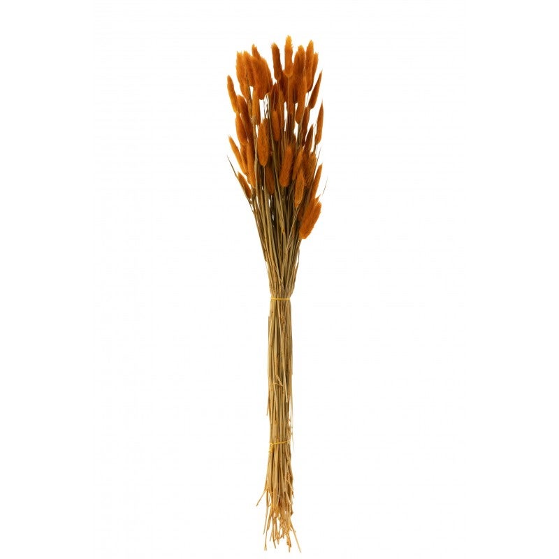 Bouton de livrée de chasse, Tête lièvre à droite , 16, laiton
