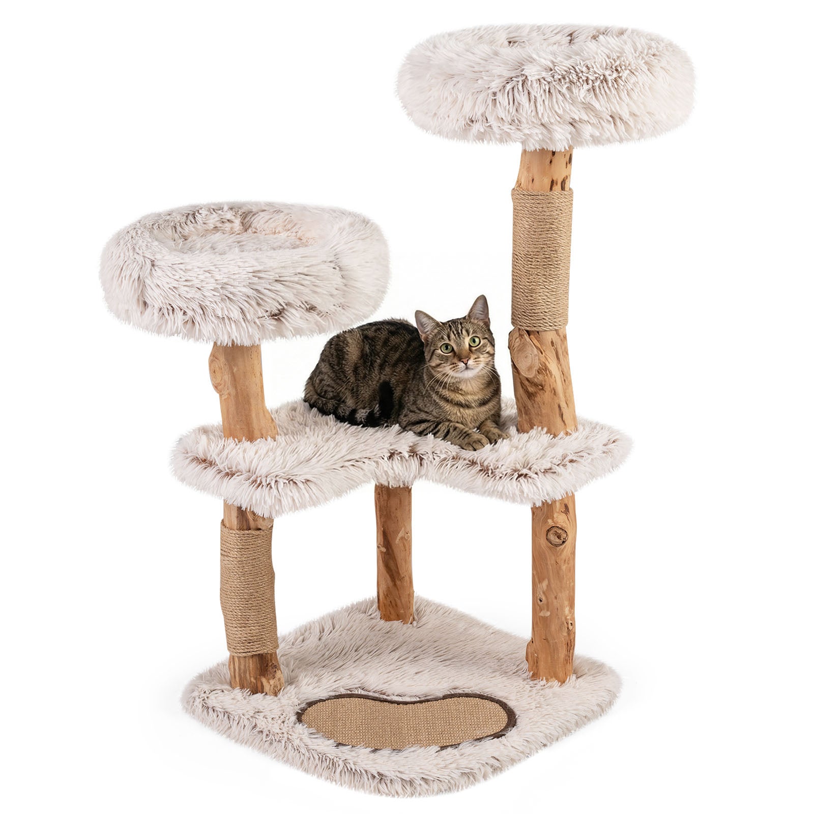 Arbor de chat modern cu ramură naturală din lemn de lux, 2 Perchoirs imbottite, Potaux à Griffer & Tapis, cuscinete detașabile dulci