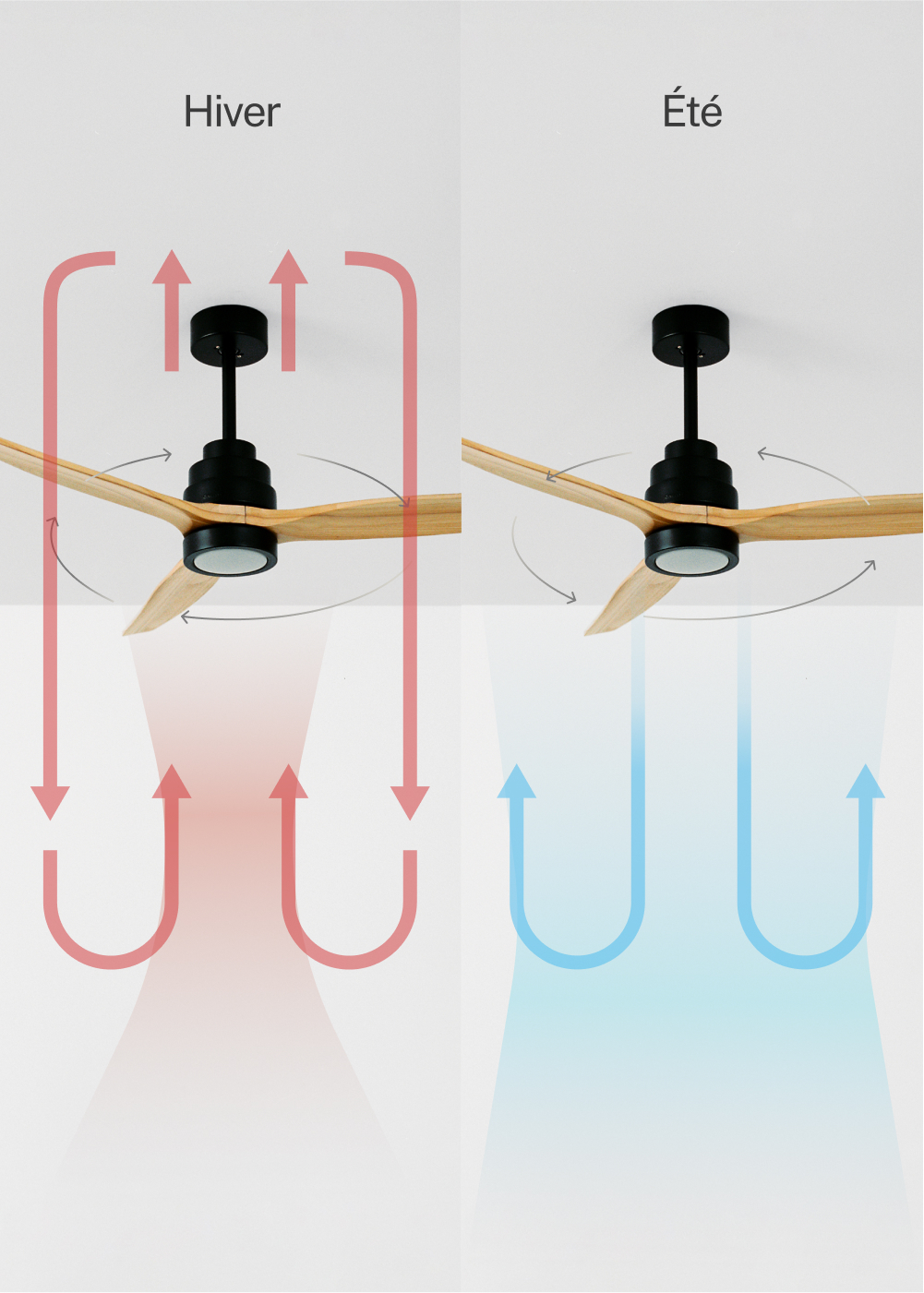 WINDSTYLANCE DC - Ventilateur de Plafond 40W Silencieux Ø132 cm - Avec lumière et contrôleur mural + télécommande - 5