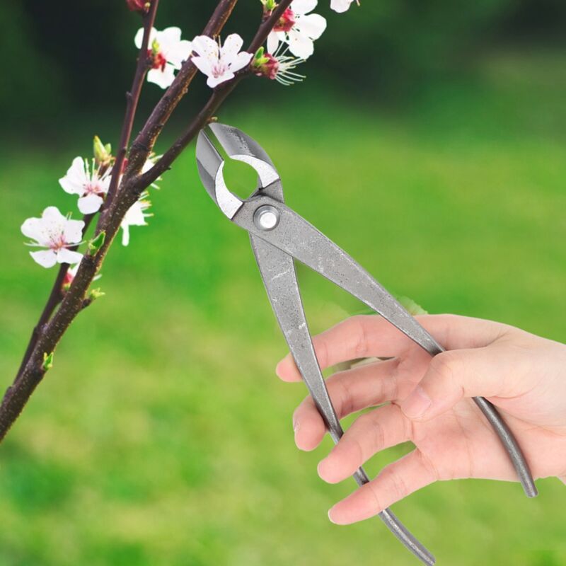 Sécateur multifonctionnel pour jardin, bonsaï, coupe-branches, ciseaux de jardinage, outils - 3