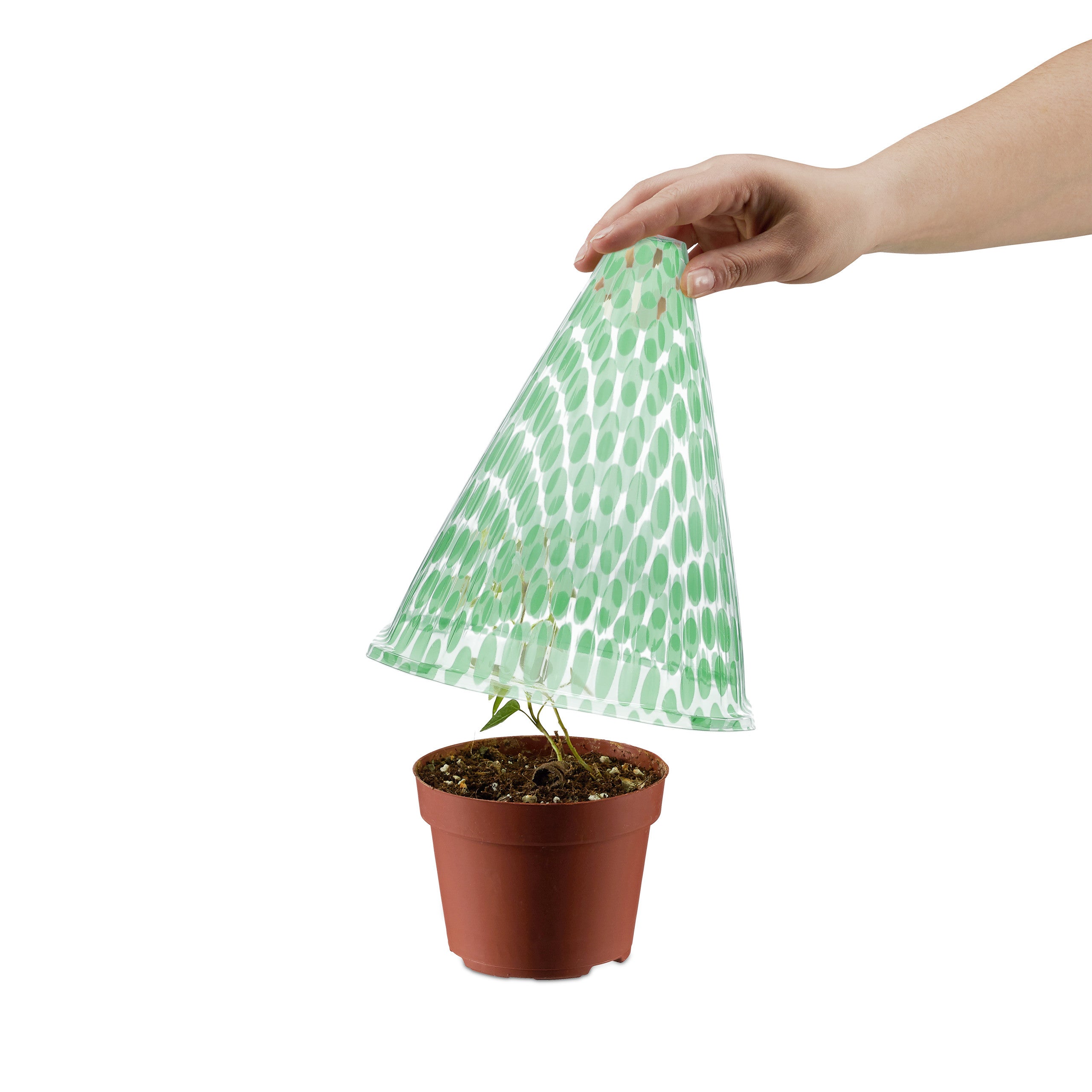 Cônes de forçage en lot de 96, protection contre escargot, gel, croissance, transparent PVC, 22x19x19 cm, vert - 6