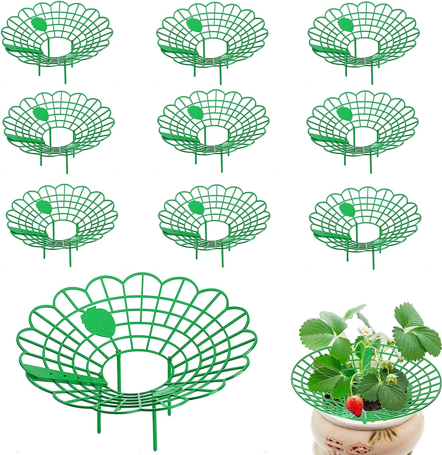 10Pcs Support Fraisier,Support de Plantes de Fraises,Cadre de Culture de Fraises,Support de Plantes de Fraise,pour Fraise,Légume, - 6