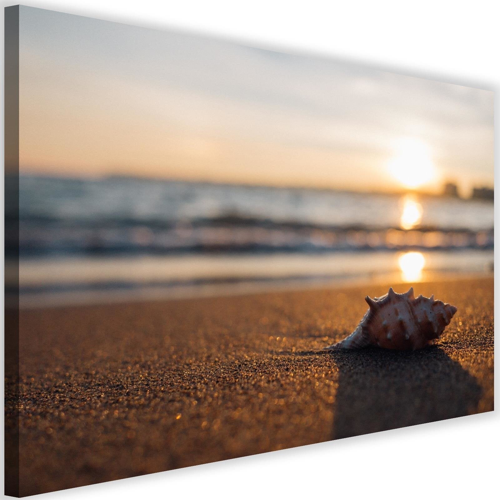 Obraz na płótnie, Muszelka na plaży 120x80