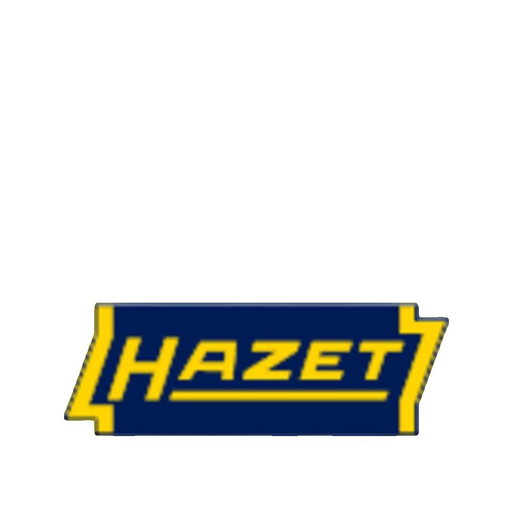 Pompa ssąca Hazet 2162-4 500 ml stal ocynkowana elastyczna