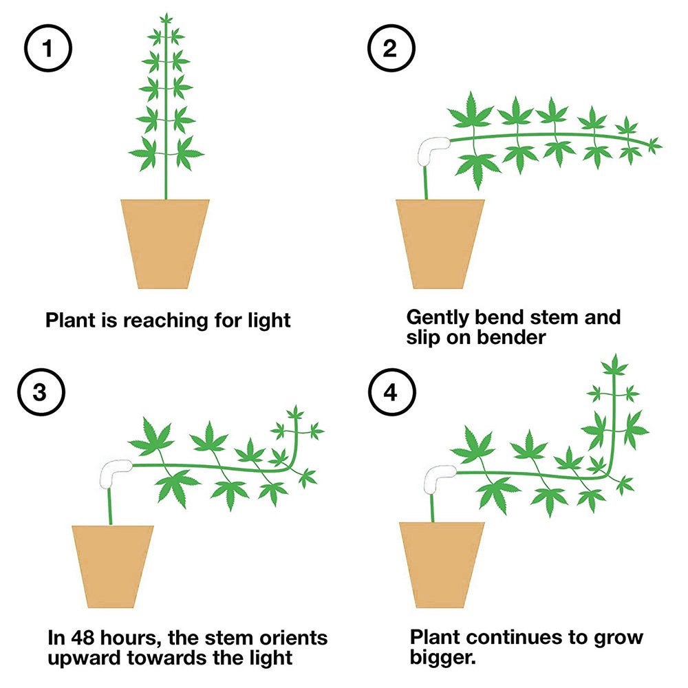 Pinces de pliage de plantes à 90 °, 10 pièces, outil de pliage de plantes, Support de vigne de légumes, Clips de Support de jardin - 3