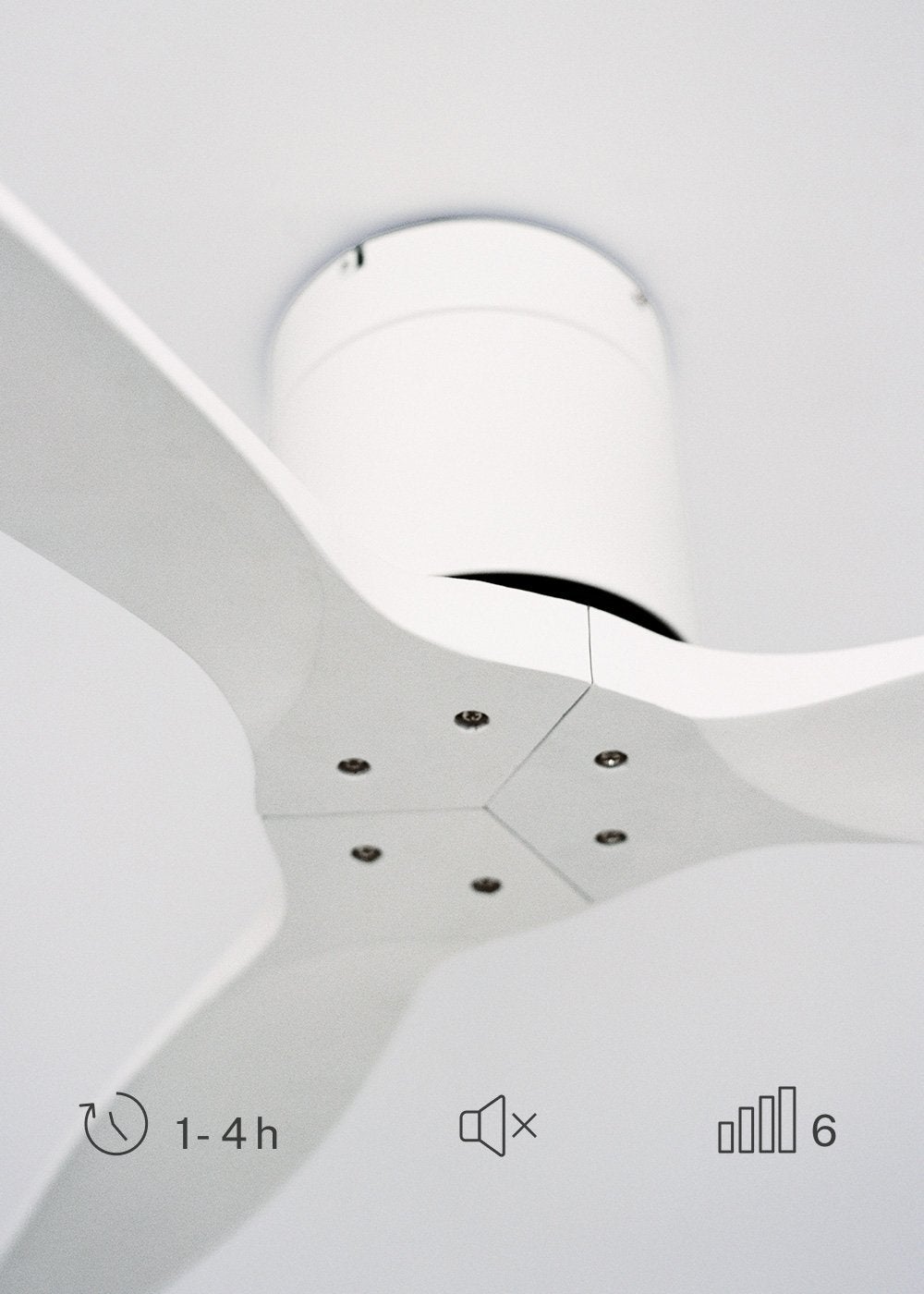 WIND CALM M - Ventilador de techo 40W silencioso con aspas de ABS técnico Ø132cm - Sin luz - sin WIFI - 6