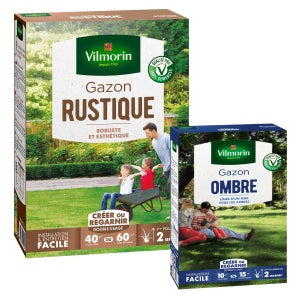 Semences Gazon BSI 3 Kg – Mélange Robuste Ray-grass & Fétuque Rouge, Enrobage Protecteur, Jusqu'à 150 M²