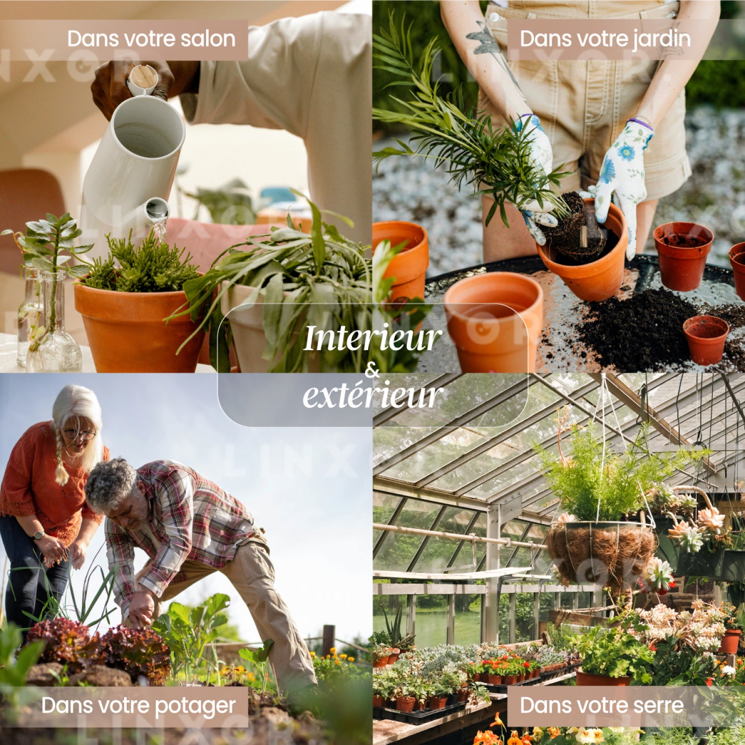 Testeur, capteur d'humidité, hygromètre pour plante ou sol - Linxor - 6