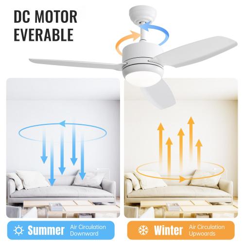 Ventilateur de plafond 46