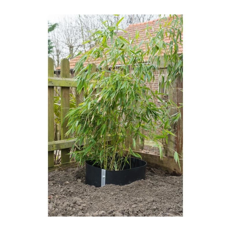 Todds Barriera Per Radici Di Bambù (3m X 0,5m) Spessa 1,2mm: Controllo Rizomi Antinvasione