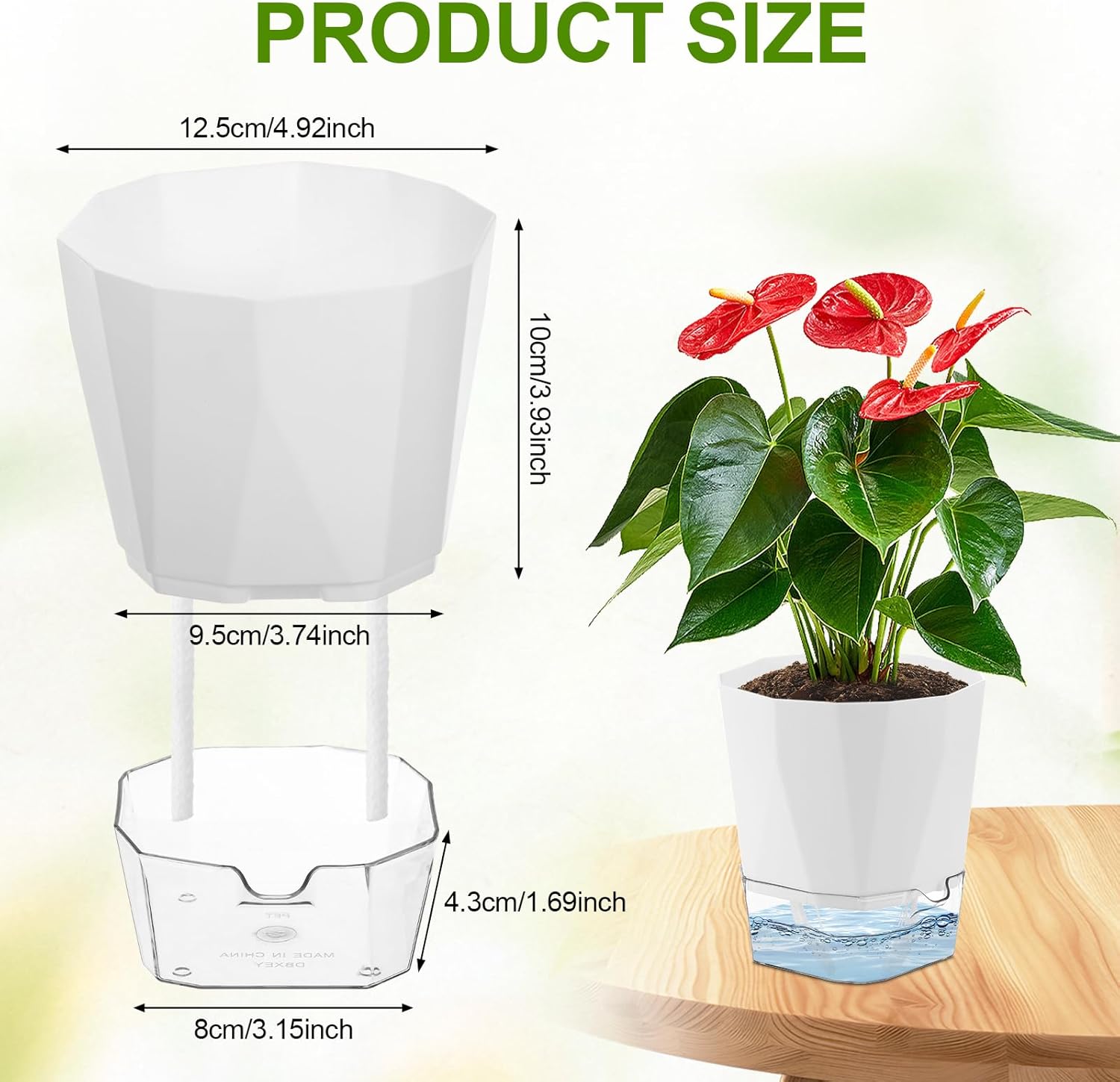 Set Di 6 Vasi Autoirriganti Per Piante Da Interno – 15 Cm Di Diametro – Plastica Resistente Con Stoppino E Serbatoio - 2