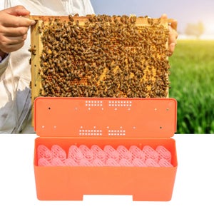 Les Abeilles Ruche Colonie - Photo gratuite sur Pixabay - Pixabay