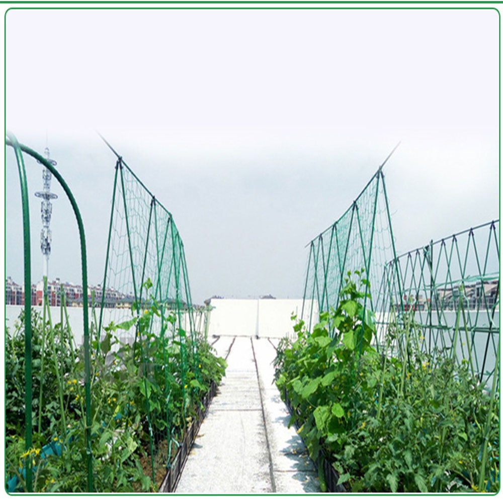 Filet d'escalade de jardin Filet d'escalade pour plantes, adapté aux jardins (0,9 M * 1,8 M) - 6