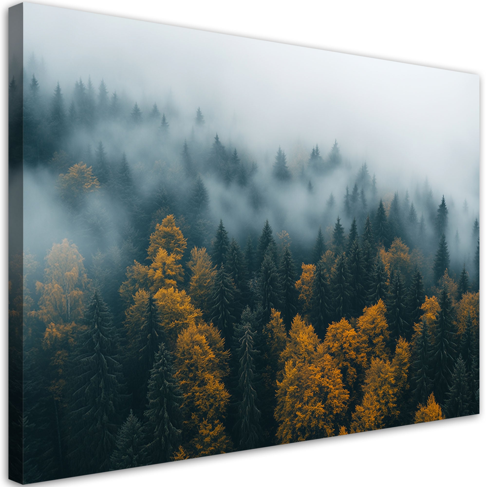 Obraz do salonu sypialni, Las we mgle krajobraz 120x80