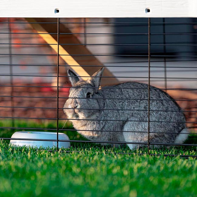 Recinto Per Conigli Esterno CADOCA 180x75x75 Cm | Con Protezione Solare E Tetto Rimovibile | Per Conigli, Porcellini D'India - Foto 5