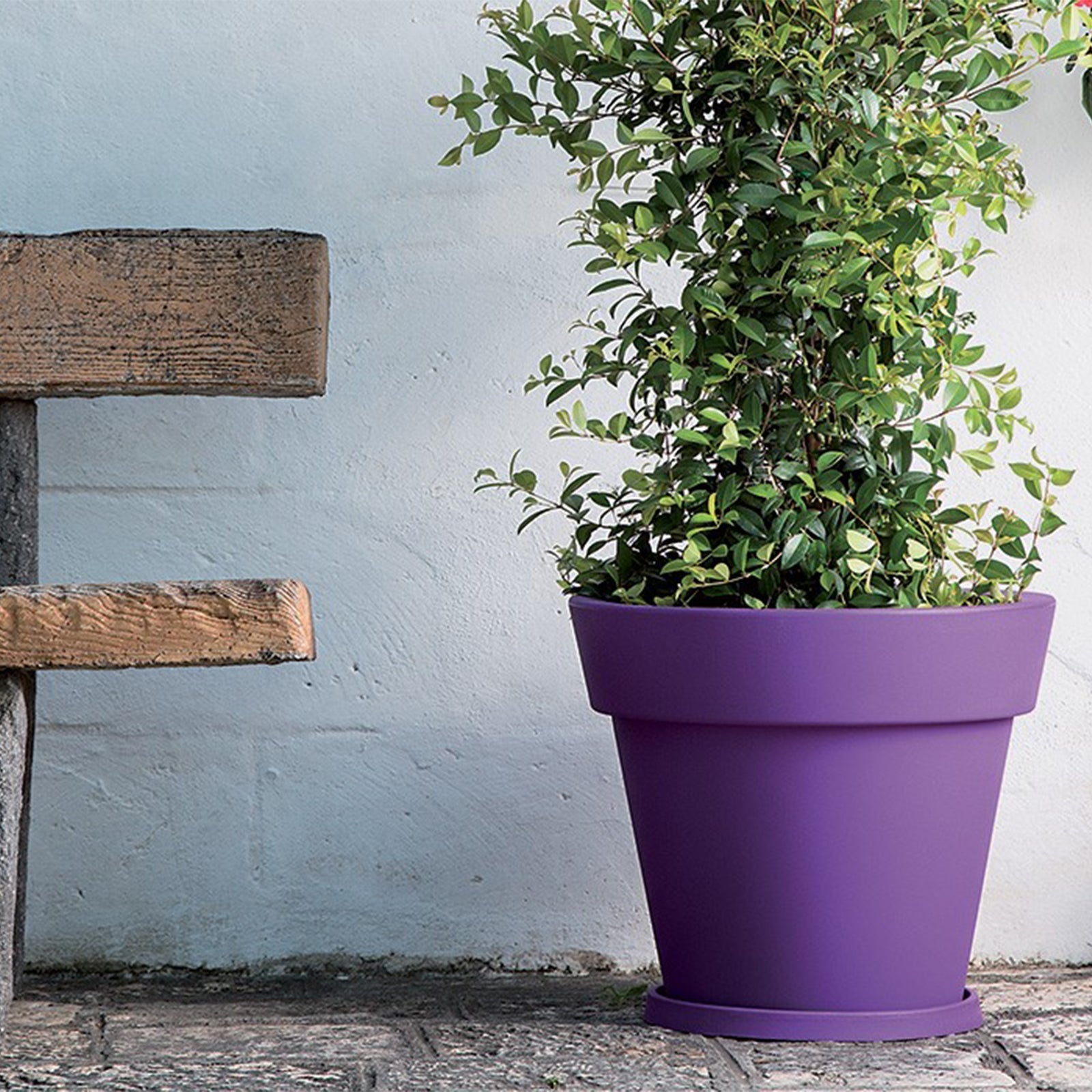 Pot de fleurs Gemma Bronze en résine diamètre 80 cm - 4