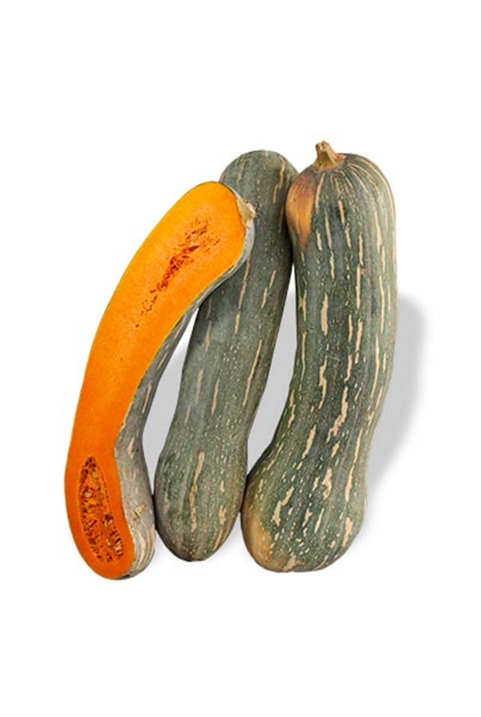 Semi Di Zucca Jumbo Salati - Dattilo
