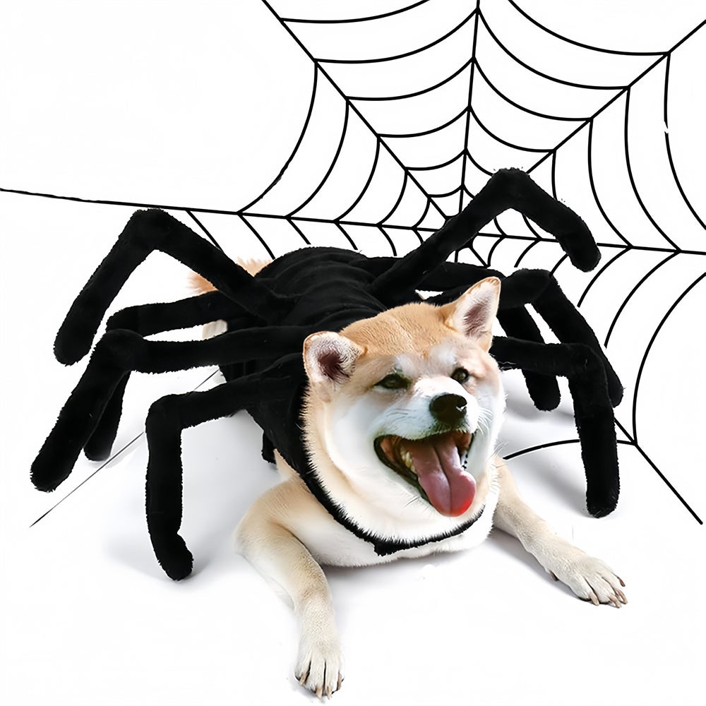 REZEA Costume d'araignée pour chien et chat d'Halloween | Leroy Merlin