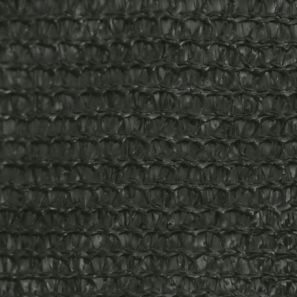 Vela parasole 160 g/m² antracite 2,5 x 5 m HDPE 02_0008909 - 5