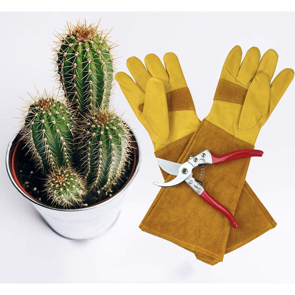 Gants longs de jardinage, gants anti-épines et anti-coupures pour taille de roses, poignet à coude, M (vert) - 4