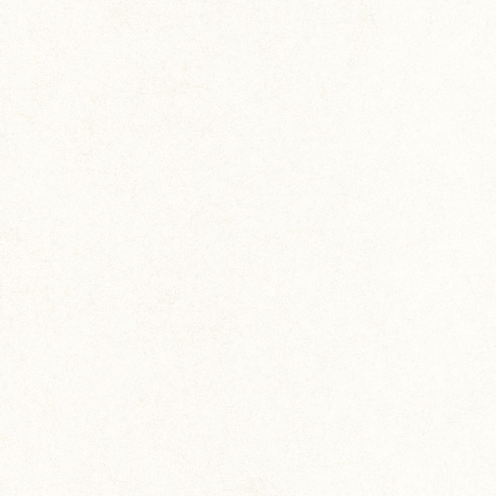 Papier peint intissé Tranquil Fibreux 1005 x 52cm Blanc - 2