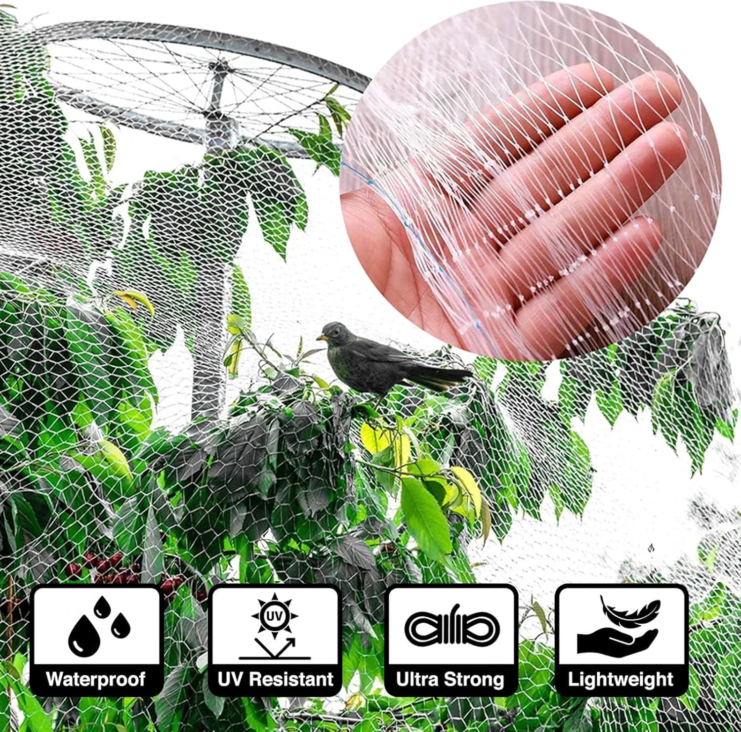 Filet de Protection Transparent 3 x 4 m pour Chat - Résistant aux Intempéries, Installation Sans Perçage - 2