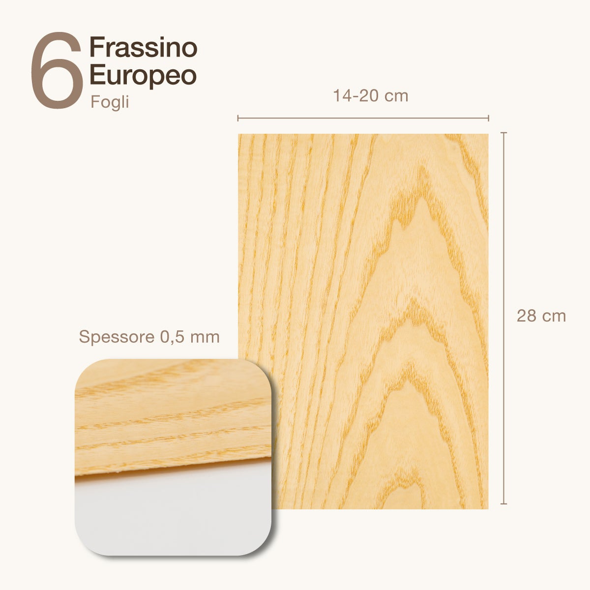 6 FOGLI DI IMPIALLACCIATURA IN LEGNO DI FRASSINO EUROPEO - 2