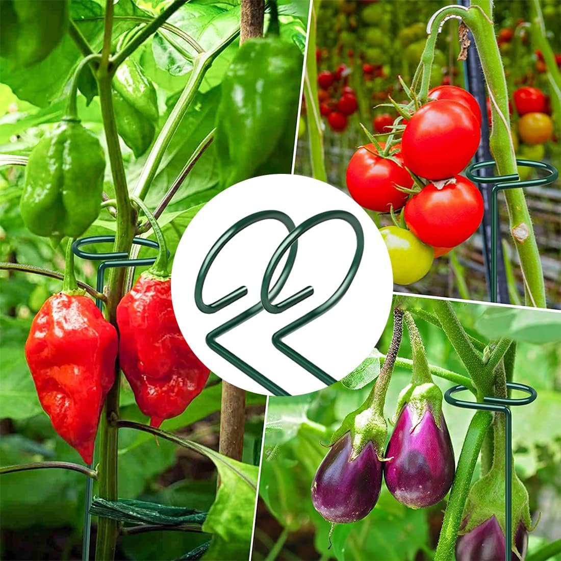 Moreeulsi Pali di Supporto per Piante staminali | Pali di Fiori a Stelo Singolo 6 Pezzi - Anelli di Supporto per Gabbie per Piante per Fiori