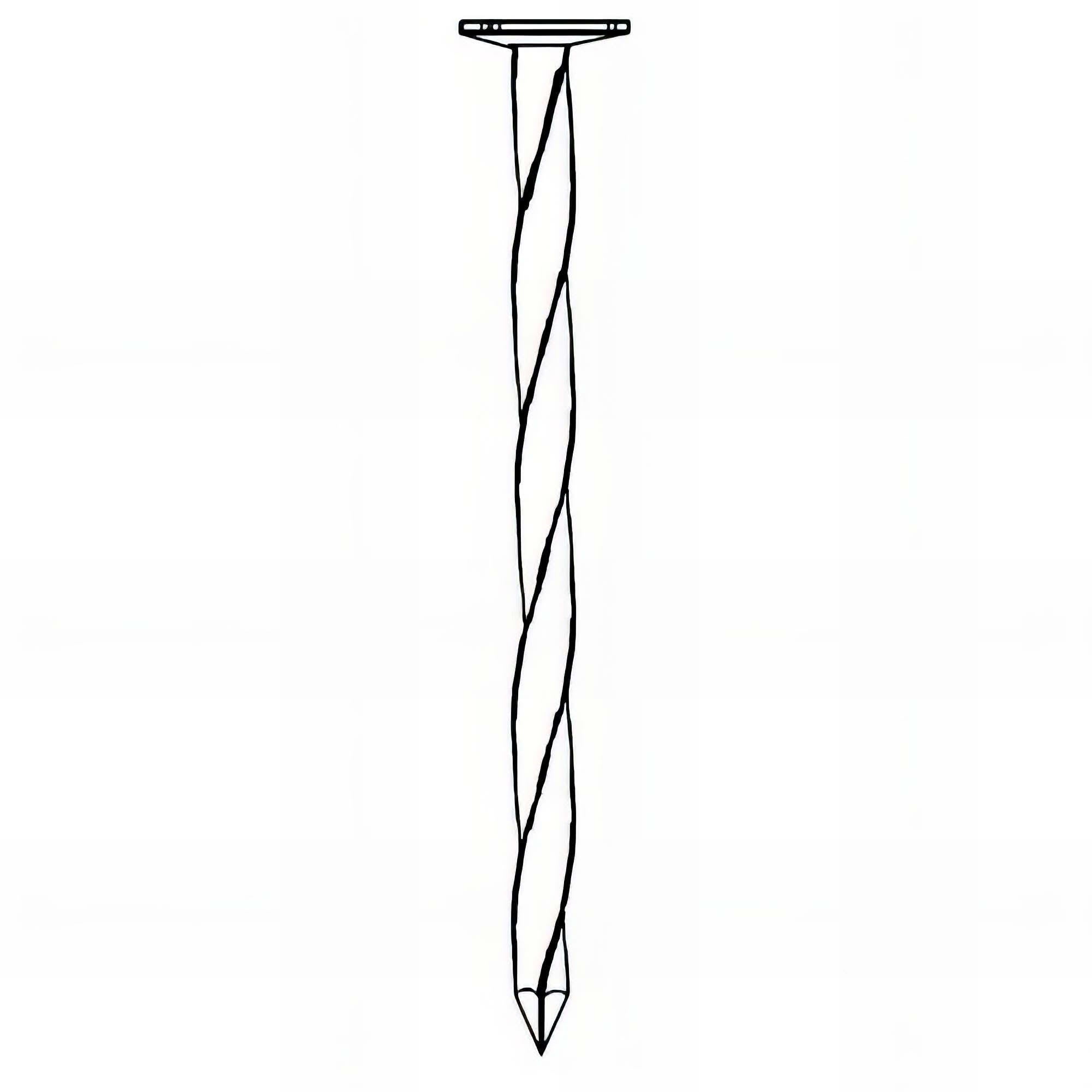 Alsafix Pointe Galvanisée à Chaud (HDG) Carré Torsadé (CT) en Vrac Tête Plate (TP) 3,1 mm - 5 kg - Longueur 70 mm - Diamètre 3,1 mm - 2